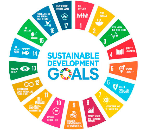 sdgs-1